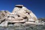 13JoshuaTree - 73